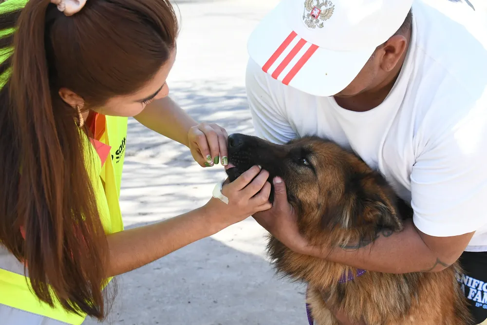 vacunacion-antirrabica-miguel-ortiz-7