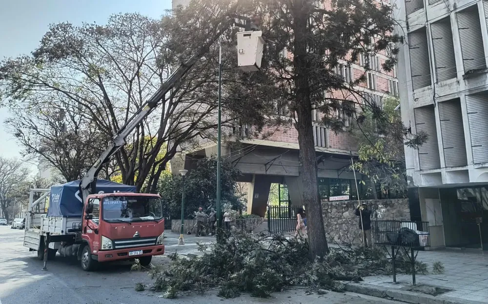 despeje-cableado-y-poda-por-procesion-del-milagro-6-1536x957