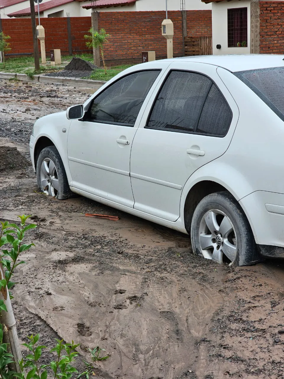 WhatsApp Image 2024-01-17 at 08.39.11