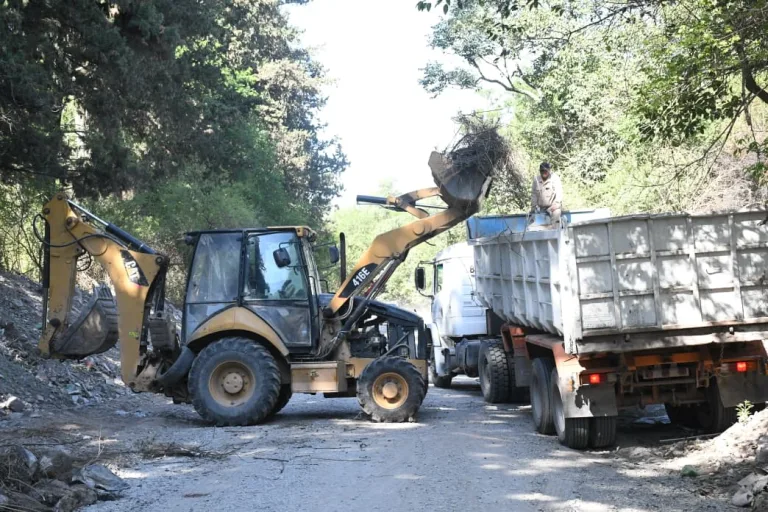 limpieza-av-gato-y-mancha-3-768x512