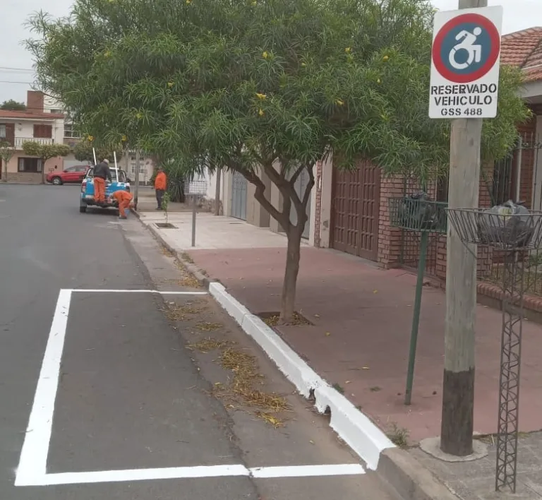 darsenas-exclusivas-768x708