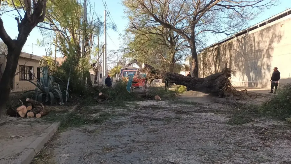 PORTADA PARA TODO SALTA (14)