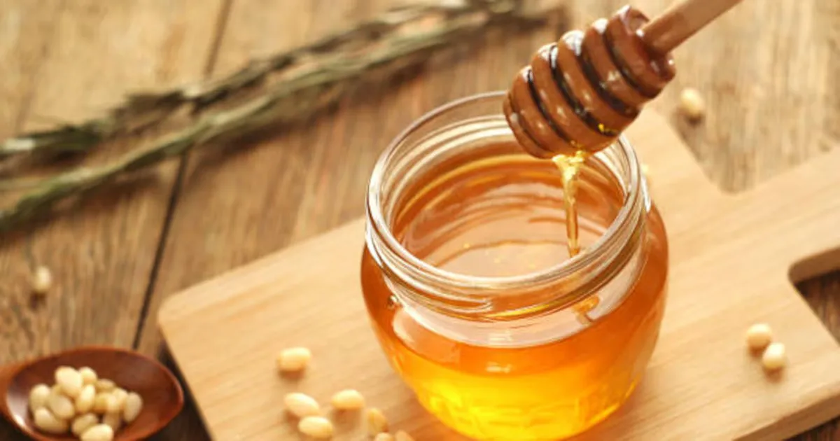 WhatsApp Image 2025-01-02 at 08.56.20