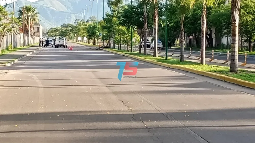 WhatsApp Image 2024-11-11 at 07.43.06