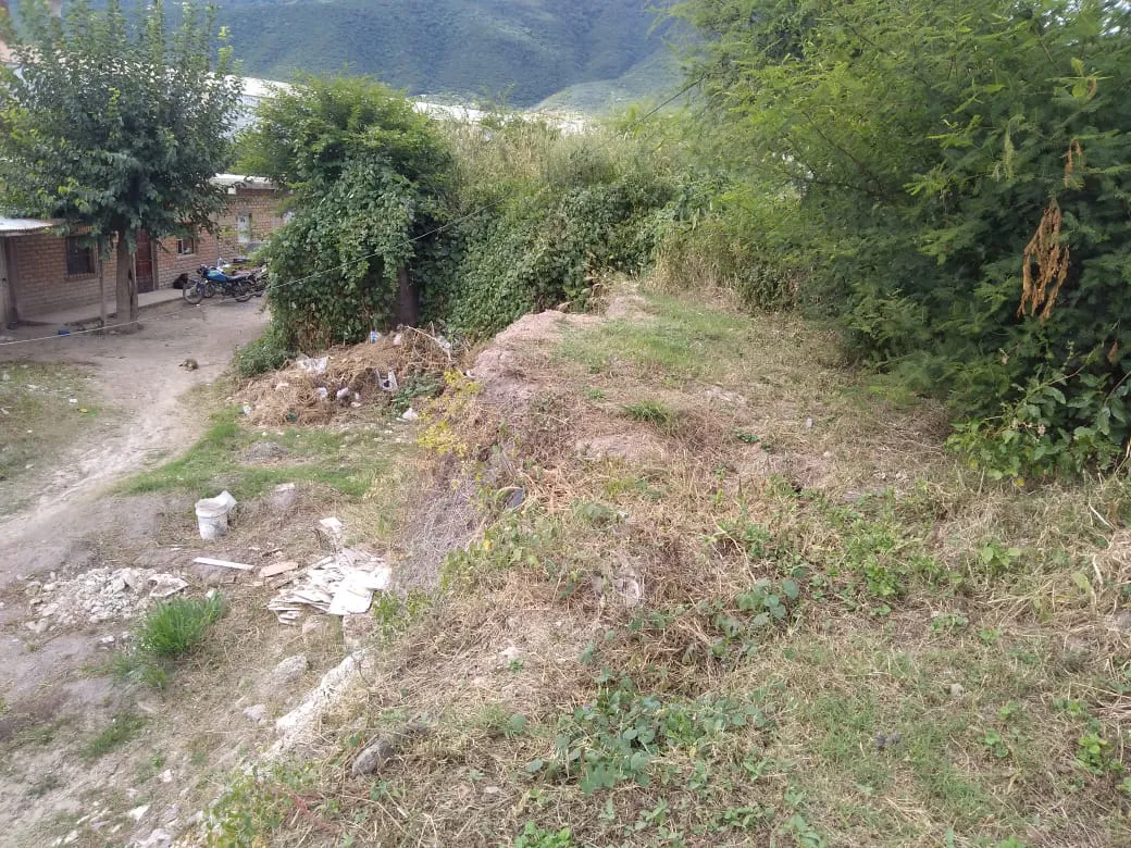 WhatsApp Image 2023-05-06 at 16.25.14
