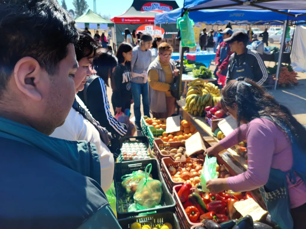 mercadolarivera-1024x768