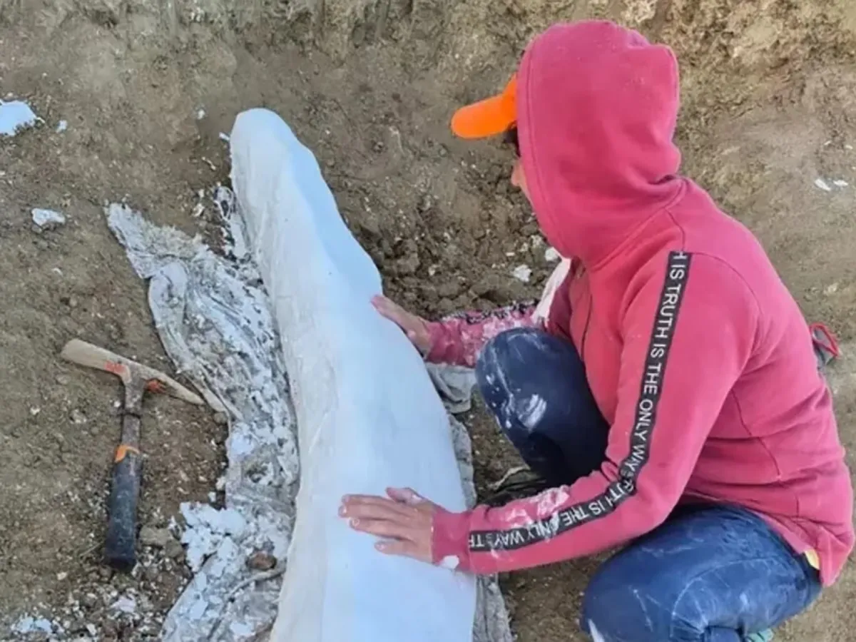 MXZT75HRUVELPNK2E6GP6IKOFU