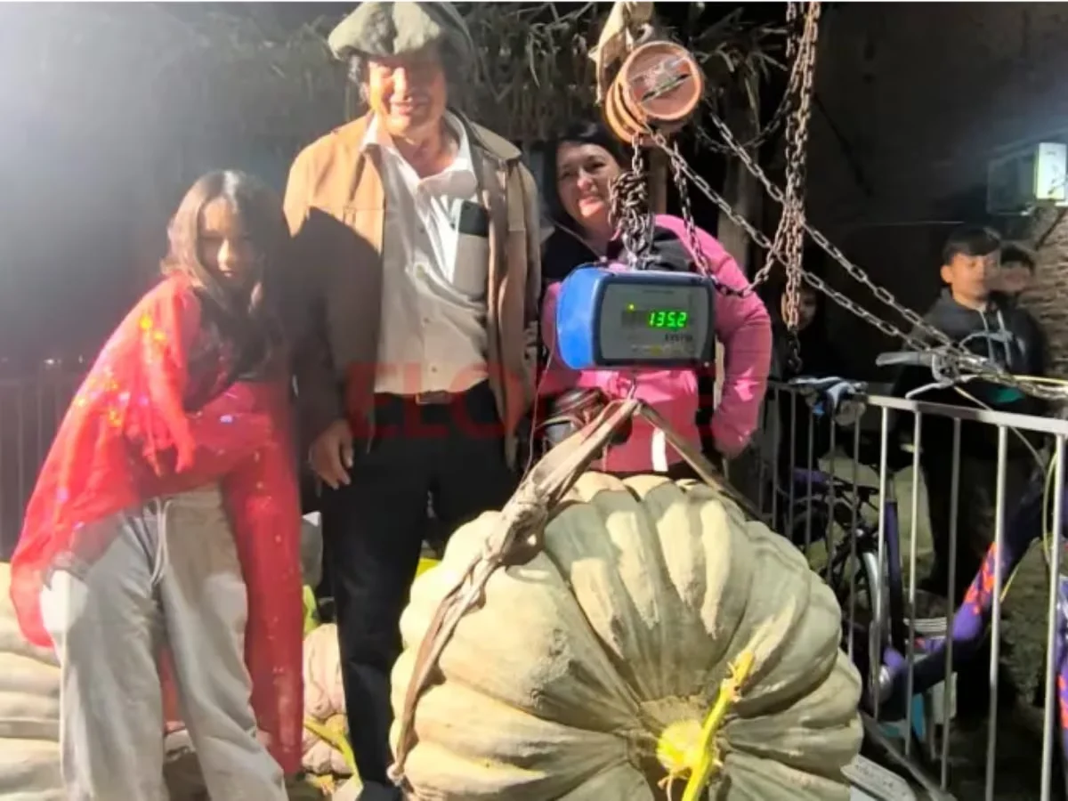 XFORP33NNFEODOF2ZNPYSOKZBU