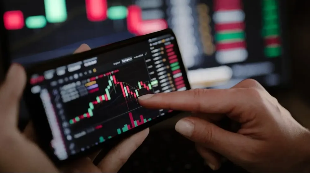 WhatsApp-Image-2024-10-07-at-7.55.20-PM