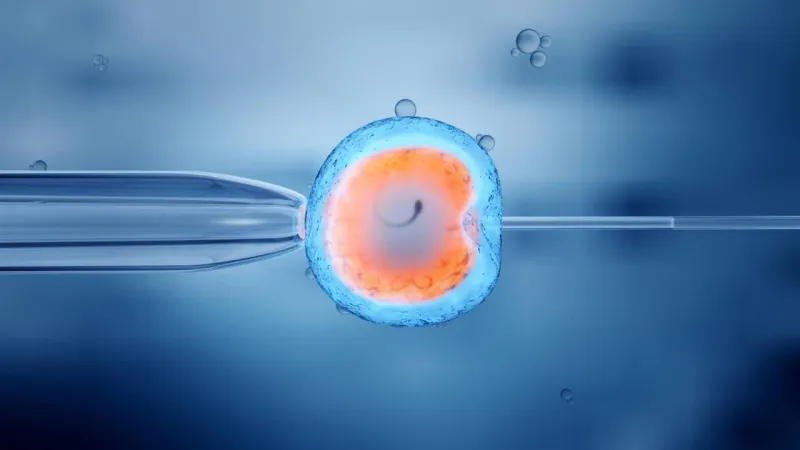 congelarovulossintexto7f50909d1280x720